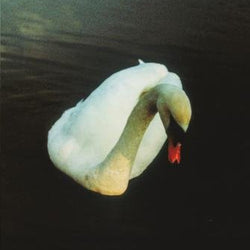 Ludovico Einaudi Underwater PS