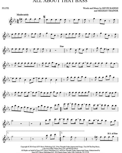 101 Hit Songs for Flute