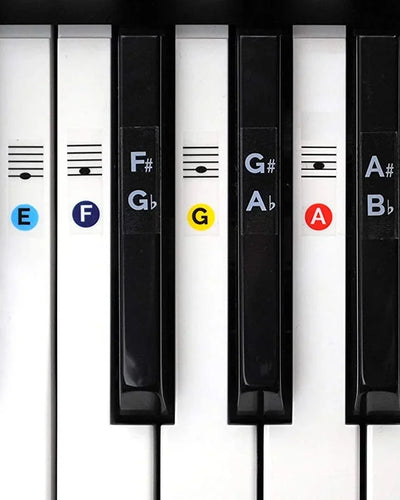Deluxe Keyboard Stickers