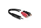 Hosa 3.5mm Phone M Two RCA F