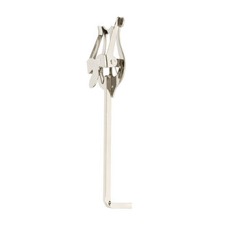 Lyre