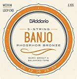 D'Addario Phosphor Bronze Banjo Strings