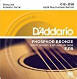 D'Addario EJ19 Acoustic Guitar Strings 12-56 Light Top/Heavy Bottom