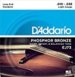 D'Addario 10-38 Mandolin Strings Set Light