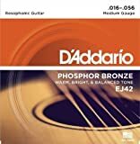 D'Addario EJ42 Resophonic Set
