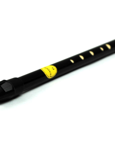 Irish tin whistle black key of D