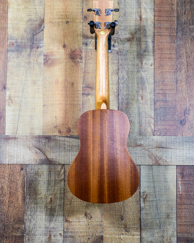Amahi Select Mahogany Concert Uke w/ Gig Bag