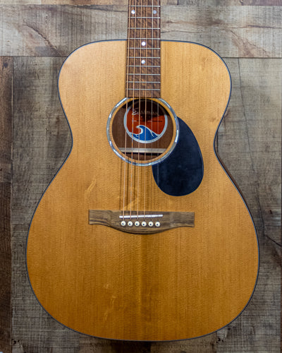 Eastman PCH1OM