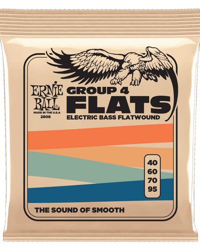 Ernie Ball Short Scale Flatwound Stainless Steel 45-105