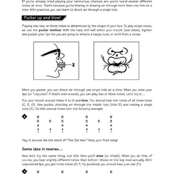 FastTrack Harmonica Method - Book 1