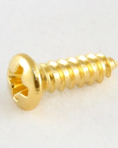 AllParts Gold Pickguard Screws 20 pack Gibson