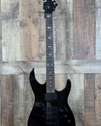 LTD LKH202, Kirk Hammett