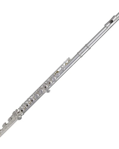 Gemeinhardt Professional Flute with NG1 Silver Headjoint