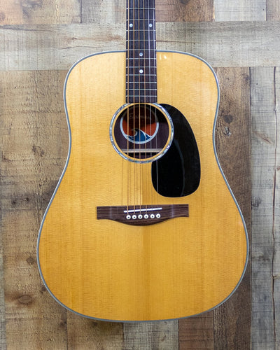 Eastman PCH2-D Dreadnought w/Gigbag
