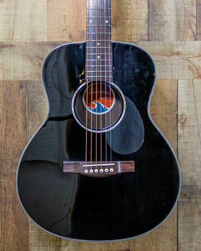 Eastman PCH2-TG-BK Traveler w/Gigbag