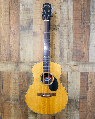 Eastman PCH2-TG Traveler w/Gigbag