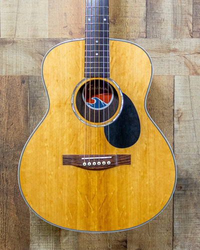 Eastman PCH2-TG Traveler w/Gigbag