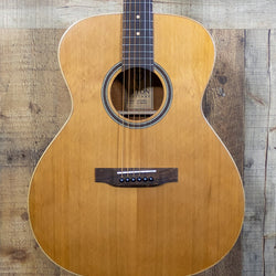 Teton STA105NT Acoustic Guitar