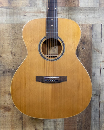 Teton STA105NT Acoustic Guitar