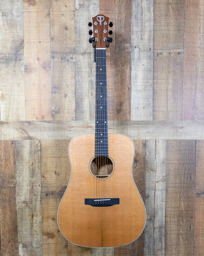 Teton Willow Acoustic Dreadnought (Discontinued)