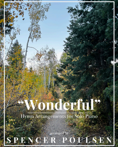 Wonderful - Spencer Poulsen