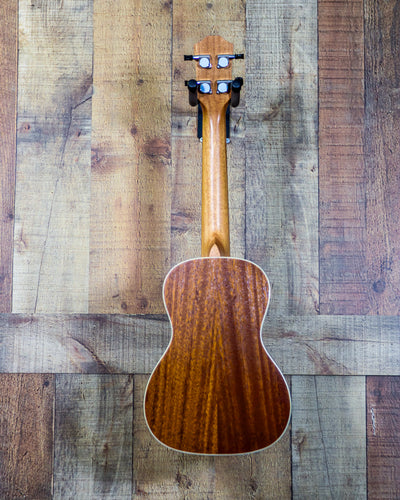 Teton Concert Uke Mahogany
