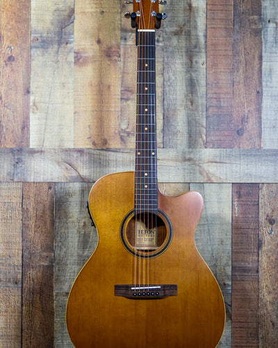 Teton STG105CENT Acoustic Guitar