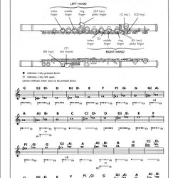 Yamaha Flute Student