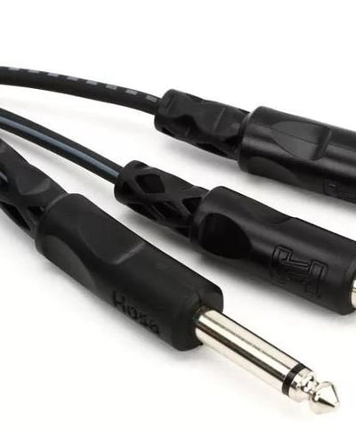 Hosa 1/4 in TS to Dual RCA