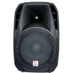 High Sound 12" 200w 3ch PA Bluetooth Remote Control FM Tuner