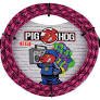 Pig Hog 10FT Straight Pink Graffiti Instrument Cable