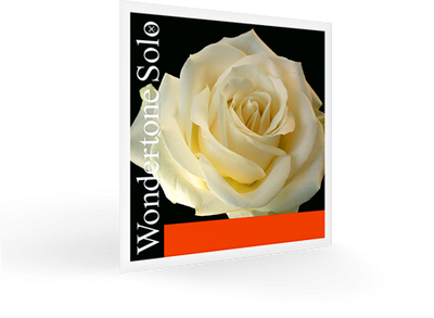 Pirastro Wondertone Solo 4/4 Violin String Set